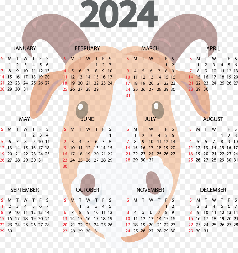 Calendario，Año PNG