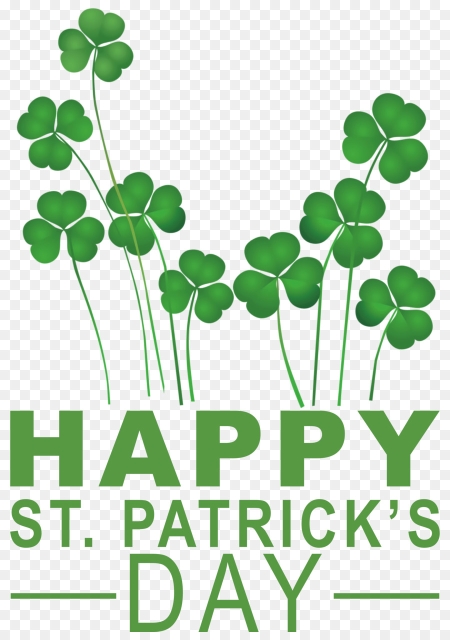 St Patricks Day，Shamrock PNG