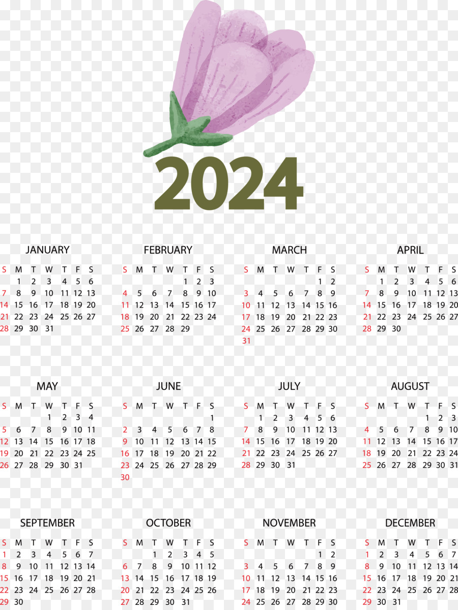 Calendario 2024，Año PNG