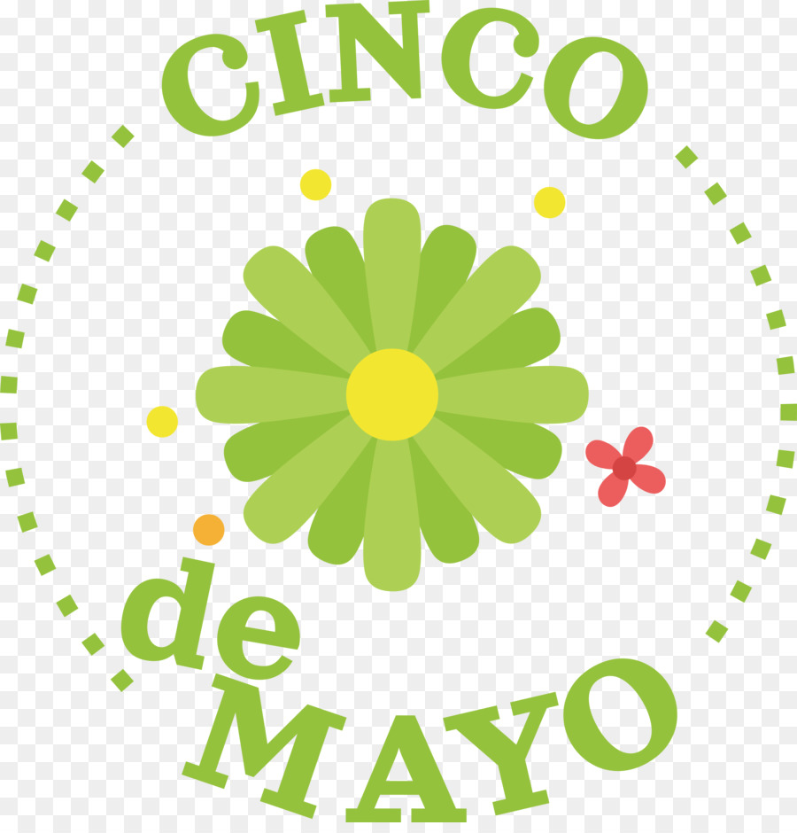 Cinco De Mayo，Flores PNG