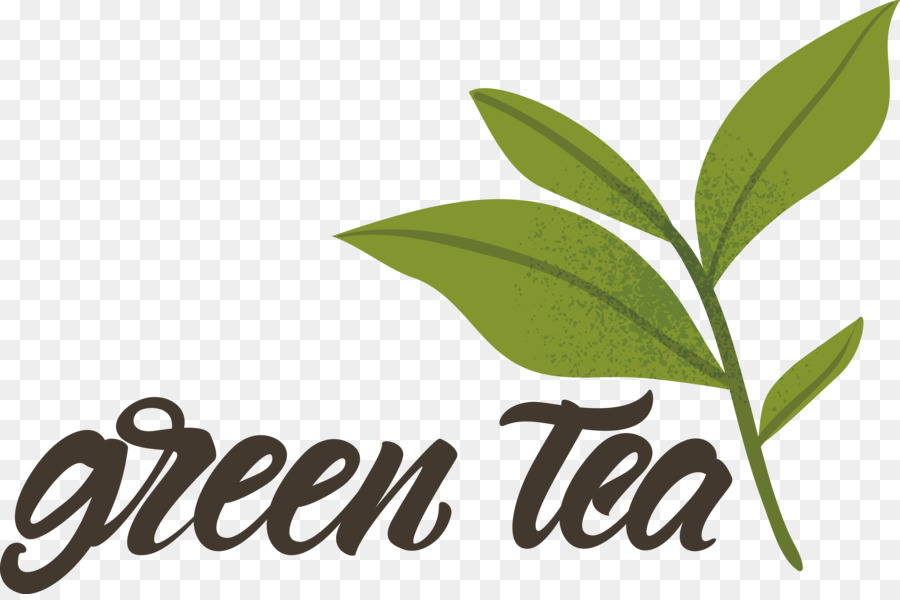 Té Verde，Beber PNG