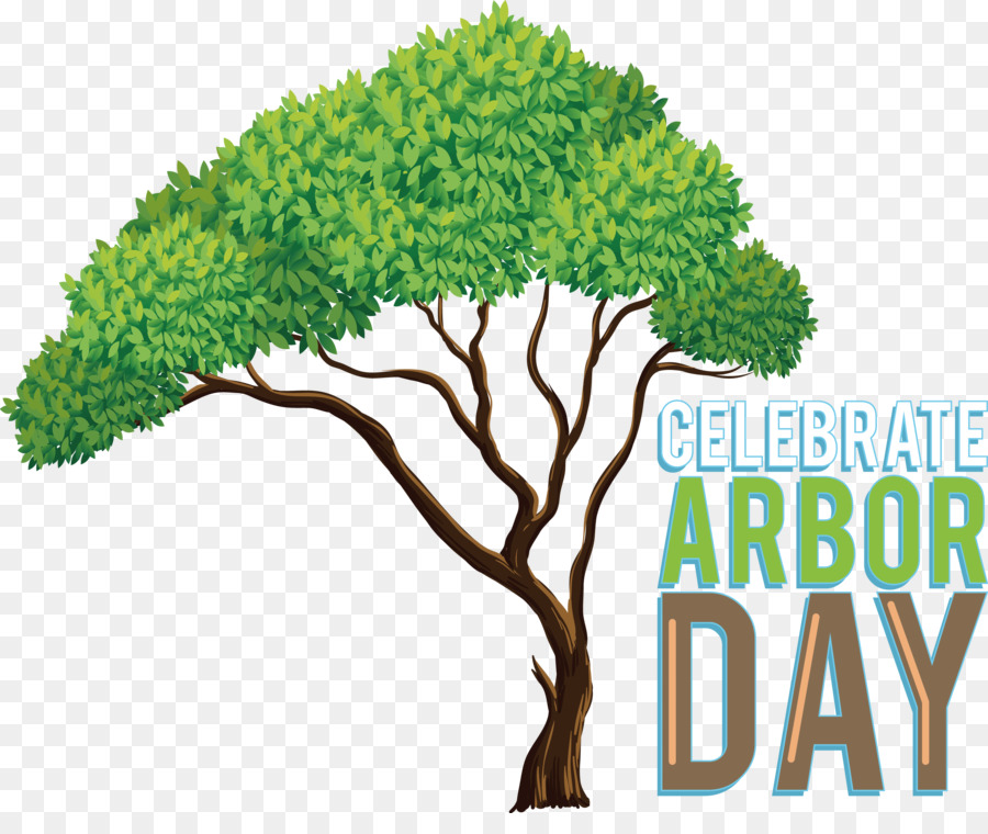 Árbol，Dia Del Arbol PNG