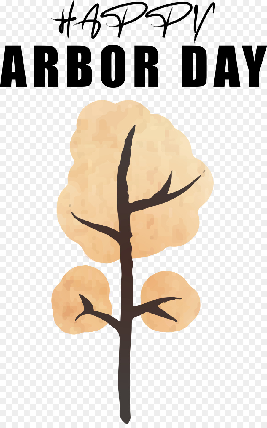 Árbol，Flor PNG