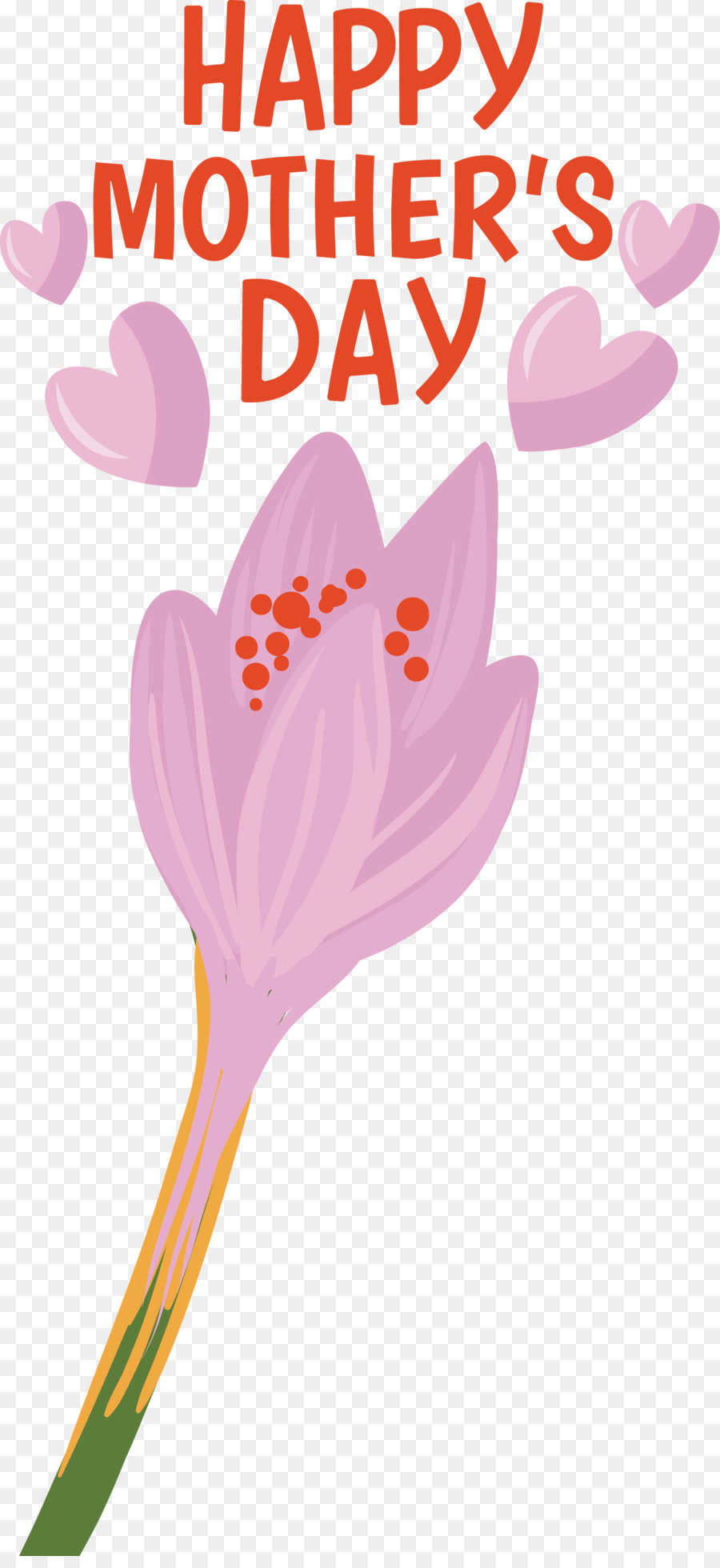 Flor，Texto PNG