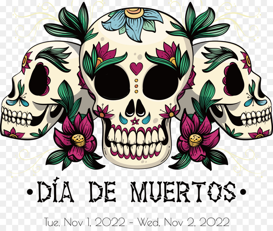 Calavera，Dibujo PNG