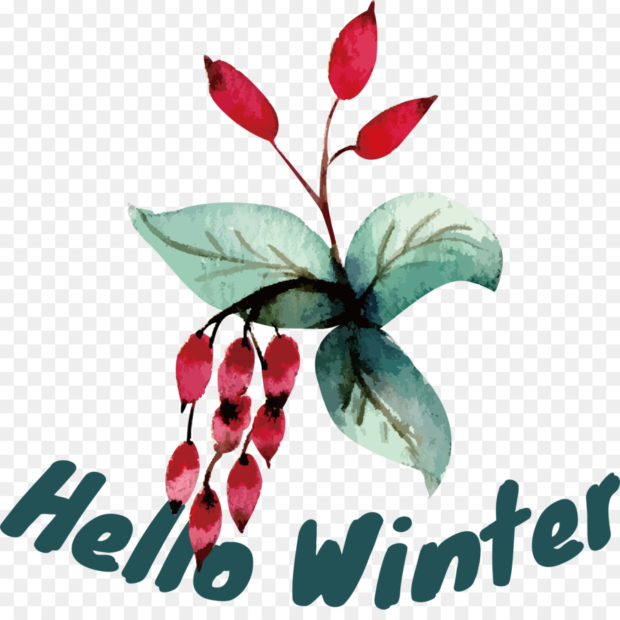 Hola De Invierno，Bienvenido Invierno PNG