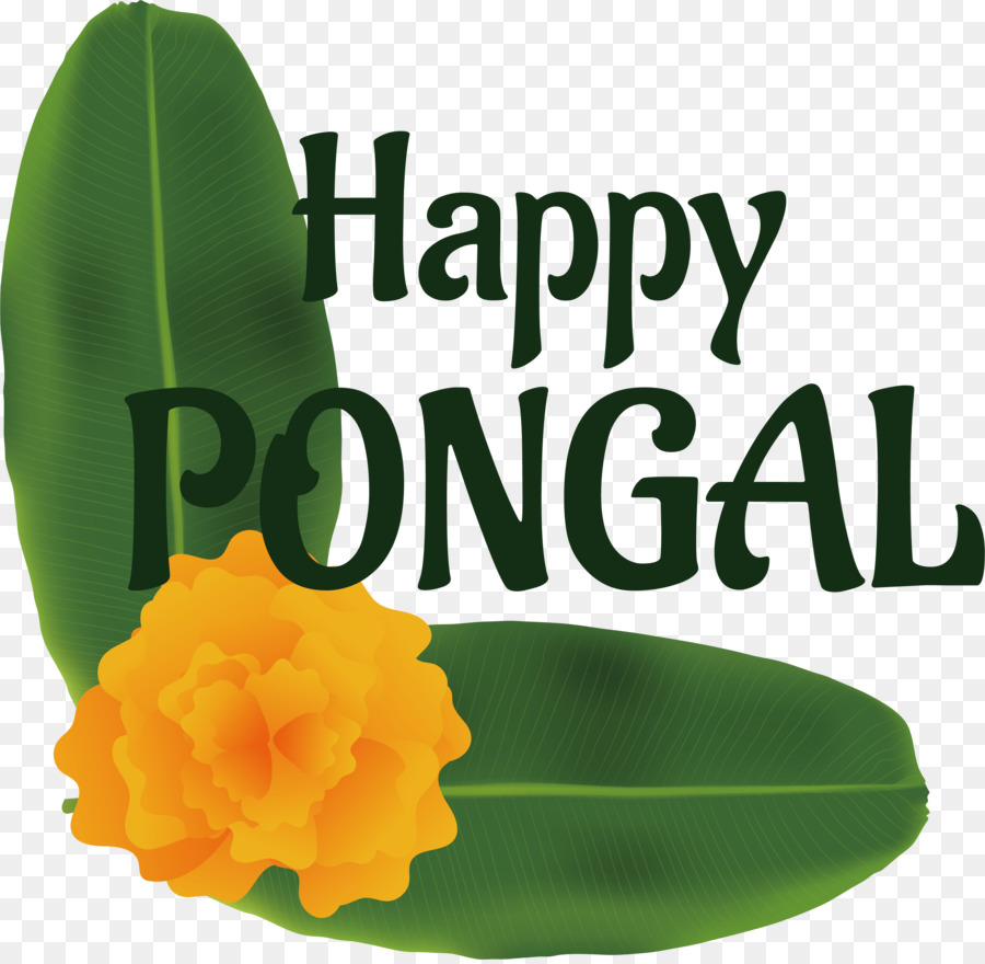 Pongal， PNG