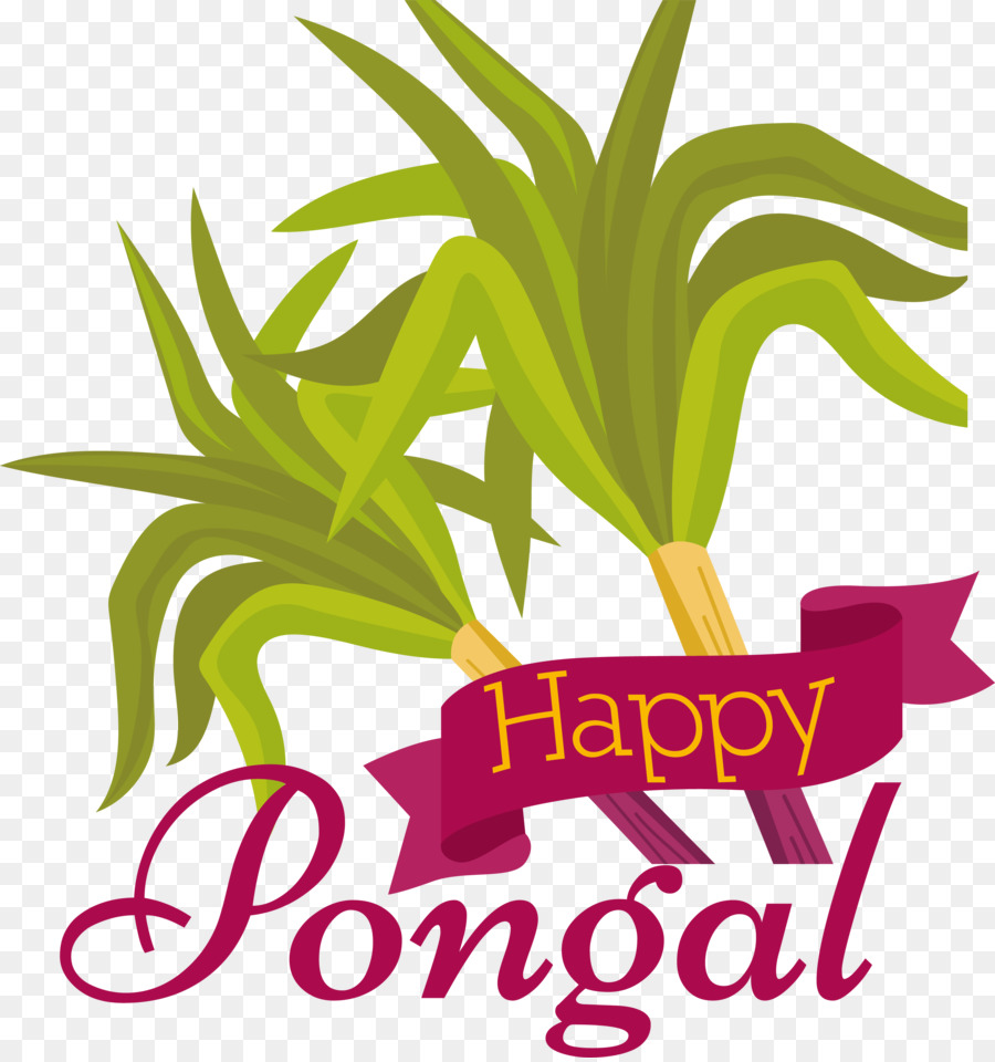 Pongal， PNG