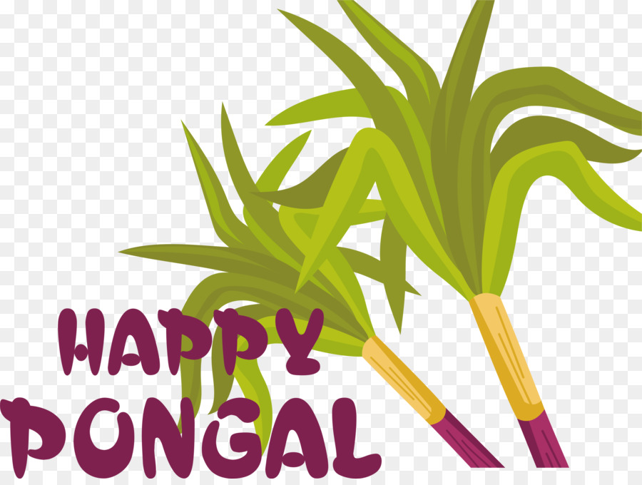 Feliz Pongal， PNG