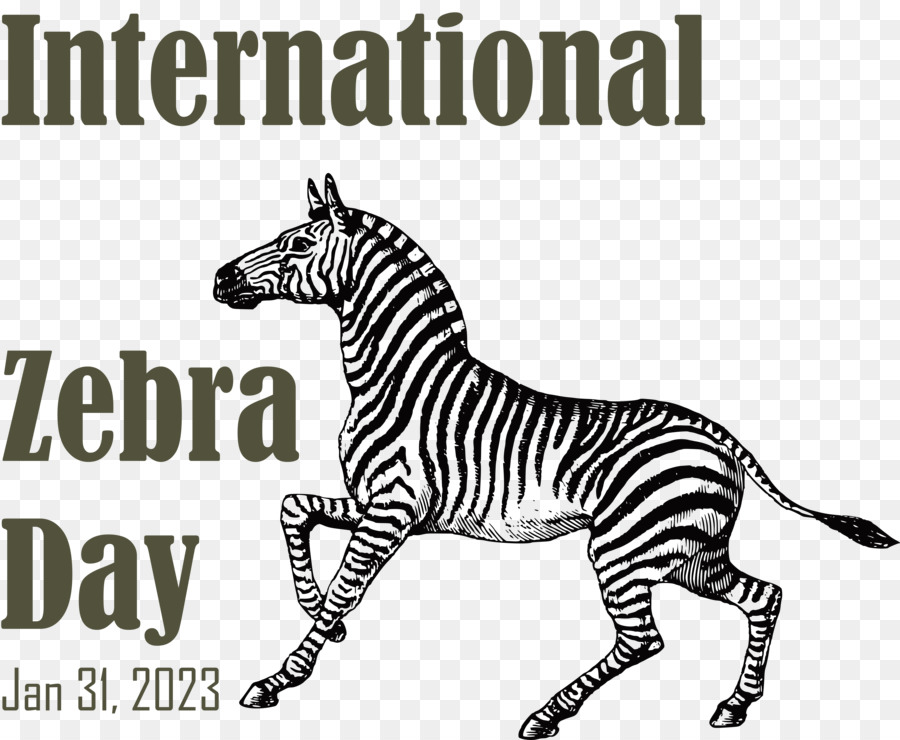 Día Internacional De La Cebra， PNG