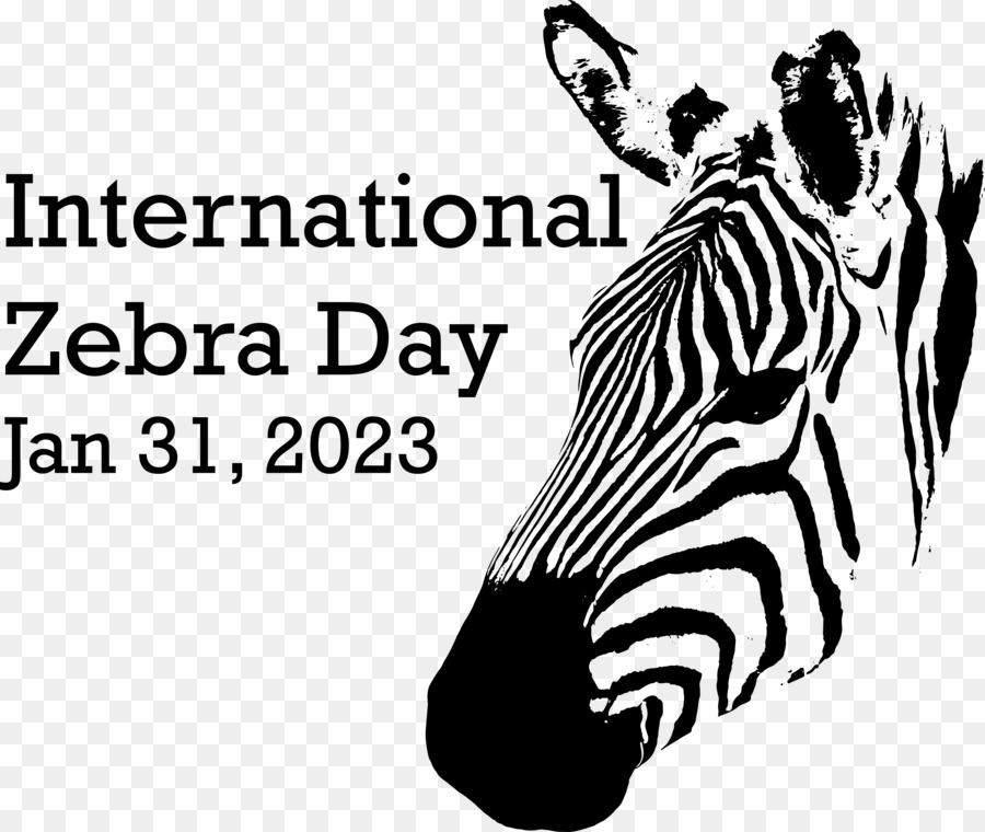 Día Internacional De La Cebra， PNG