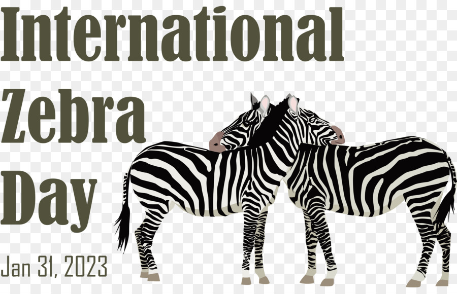 Día Internacional De La Cebra， PNG