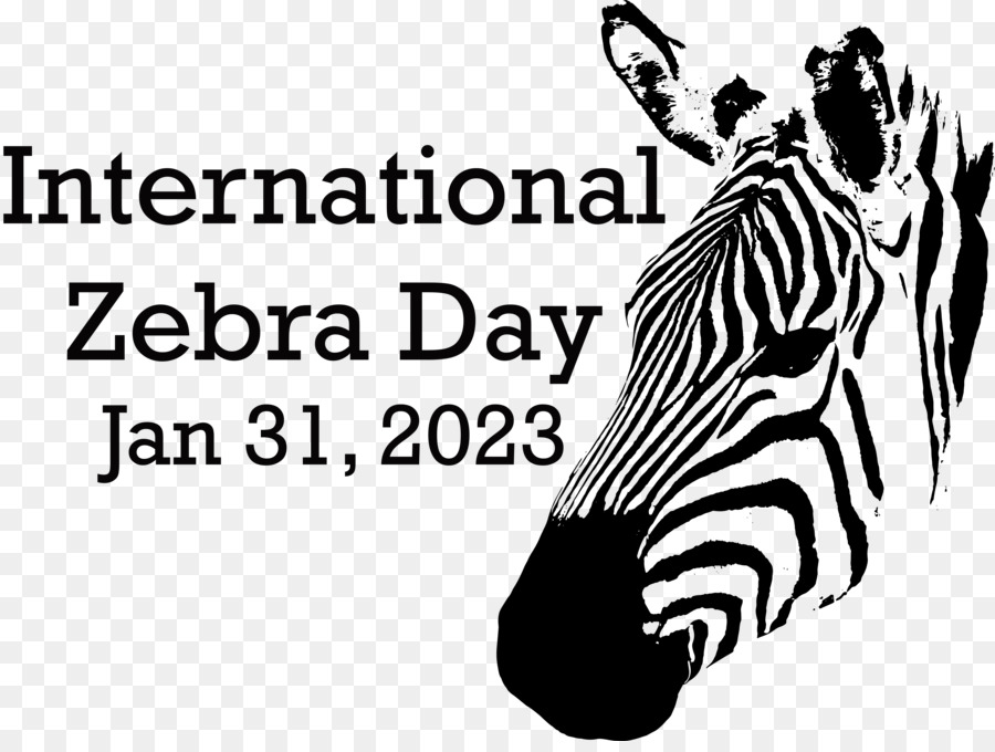 Día Internacional De La Cebra， PNG