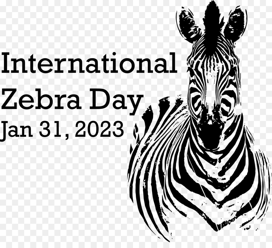 Día Internacional De La Cebra，Cebra PNG