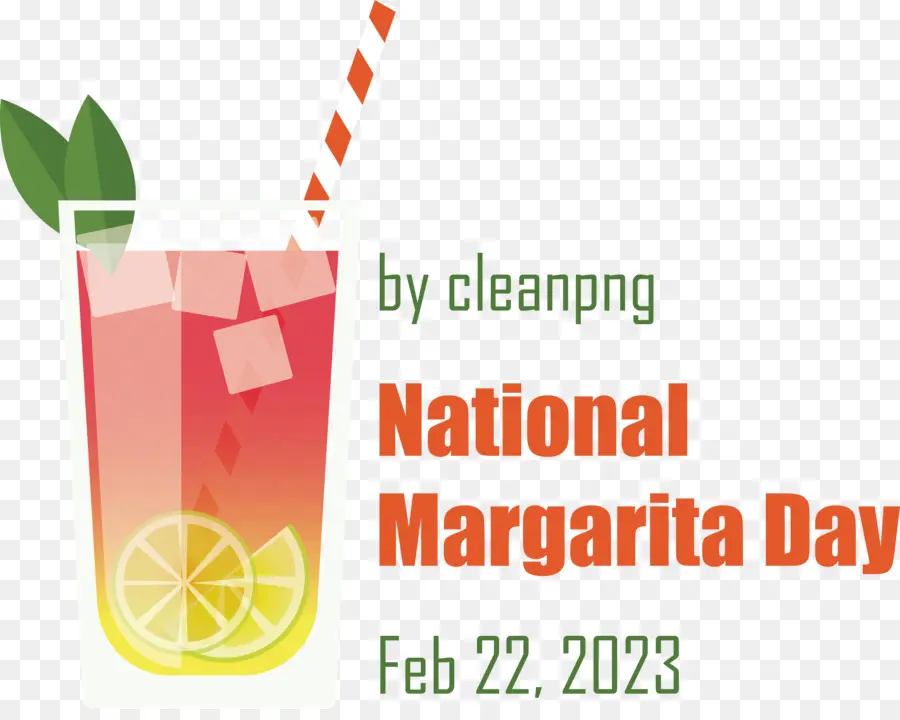 Día Nacional De Margarita，Margarita PNG