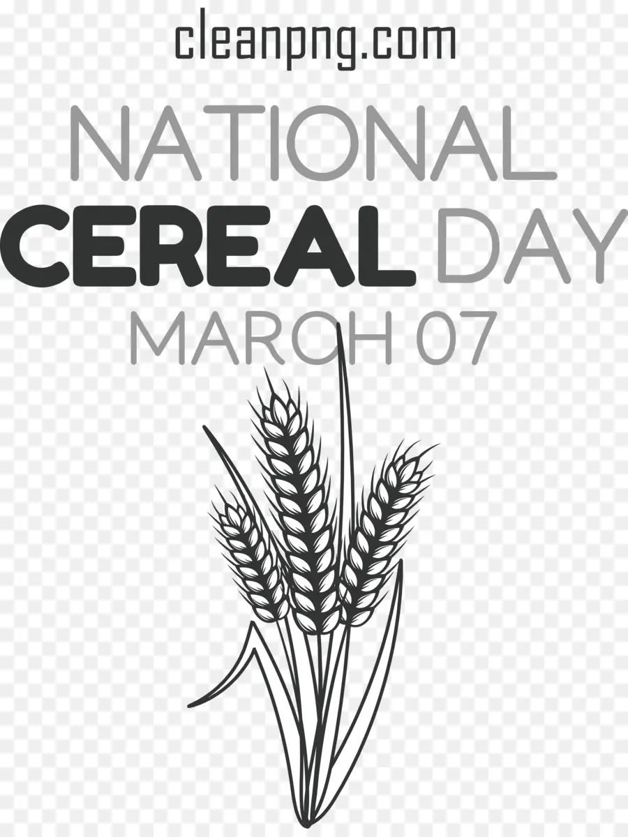 Nacional De Cereales Día，Día De Cereal PNG