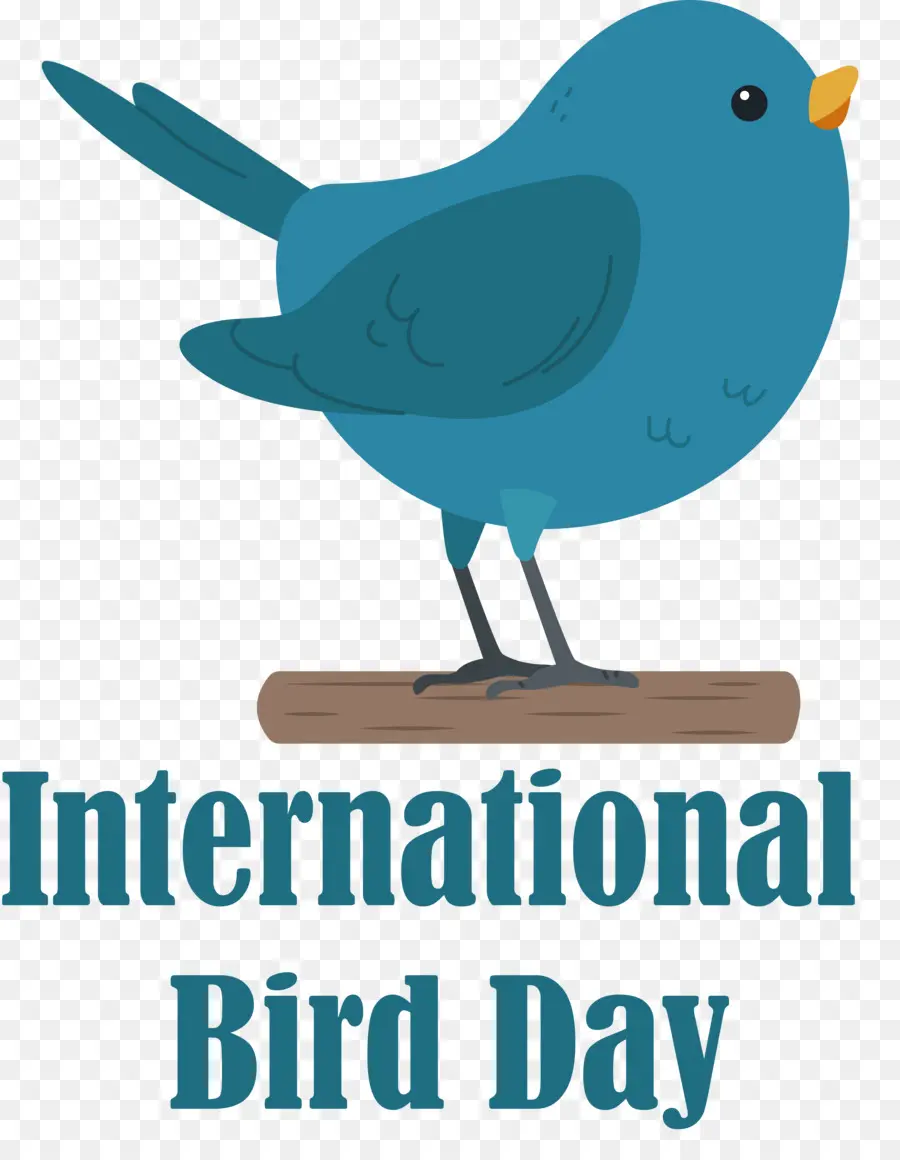 Día Internacional De Las Aves，Día De Las Aves PNG