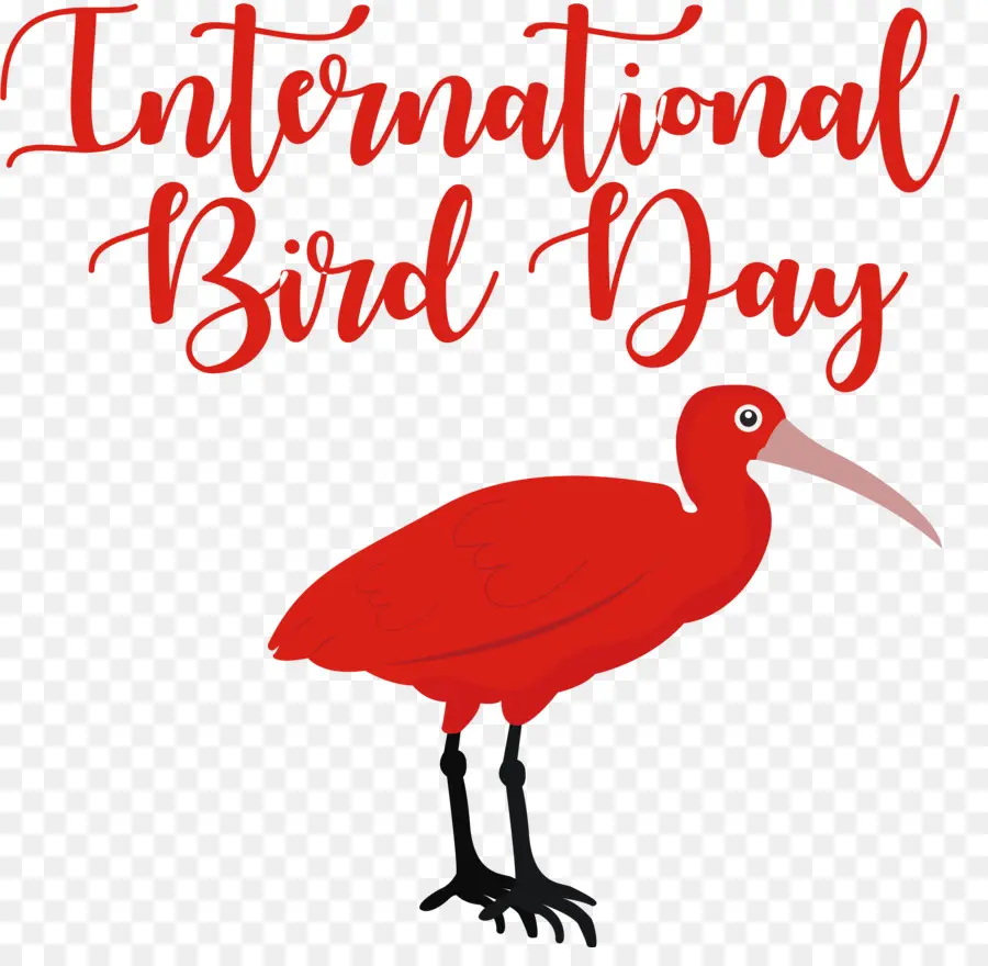 Día Internacional De Las Aves，Día De Las Aves PNG