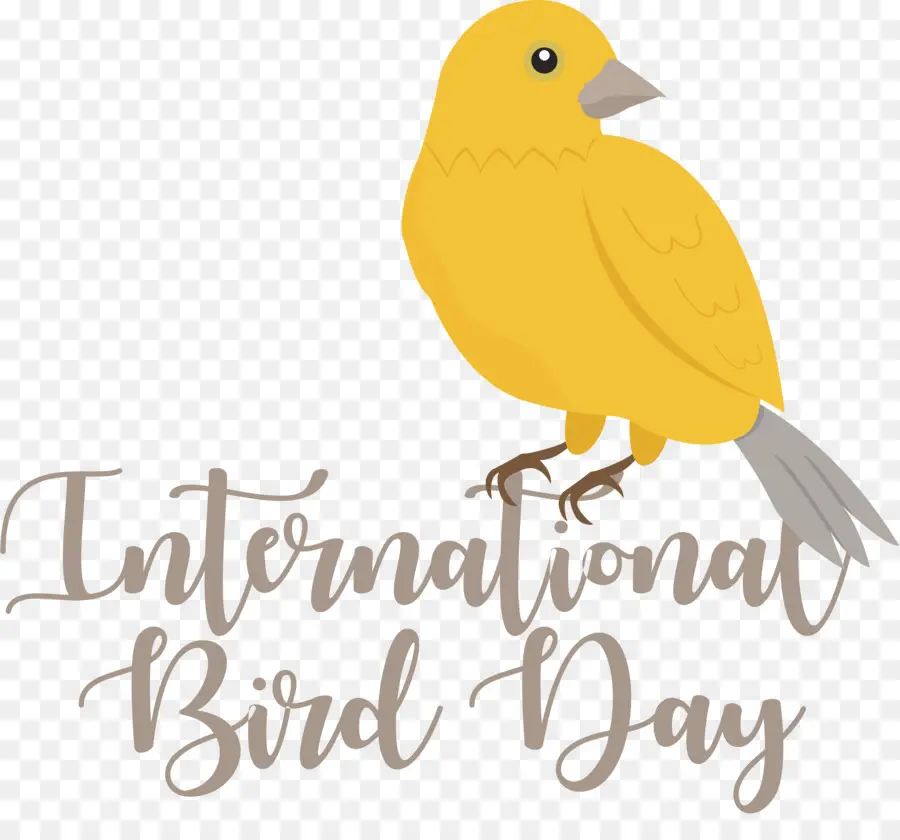 Día Internacional De Las Aves，Día De Las Aves PNG