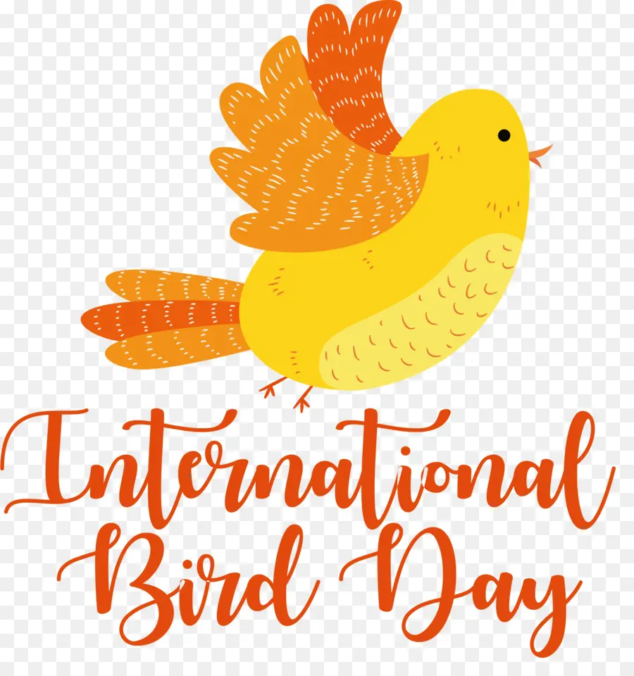 Día Internacional De Las Aves，Día De Las Aves PNG