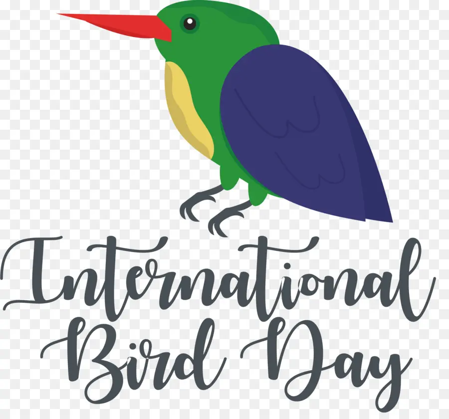 Día Internacional De Las Aves，Día De Las Aves PNG