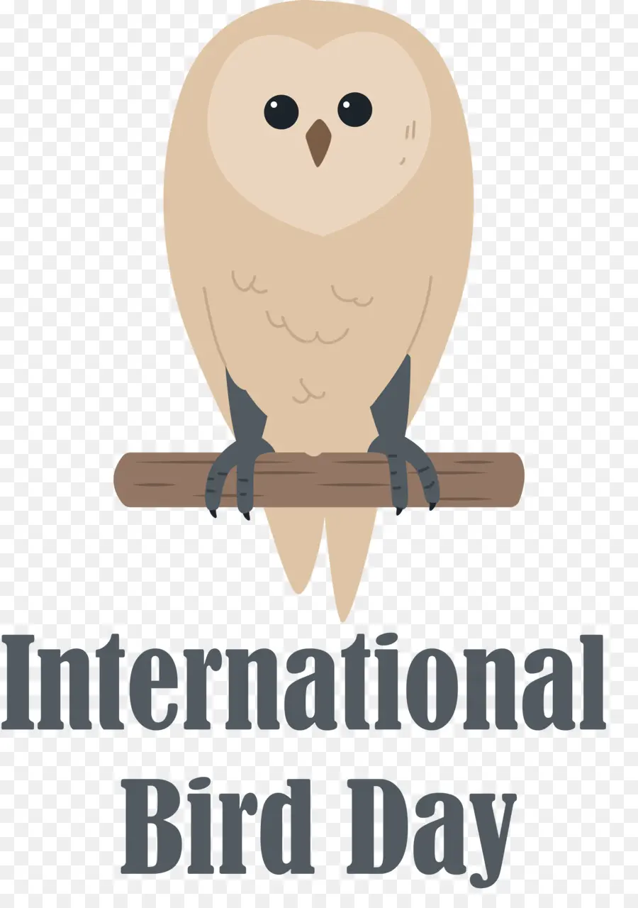 Día Internacional De Las Aves，Día De Las Aves PNG