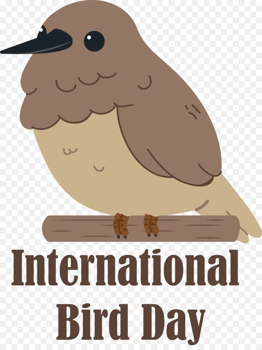 Día Internacional De Las Aves，Día De Las Aves PNG