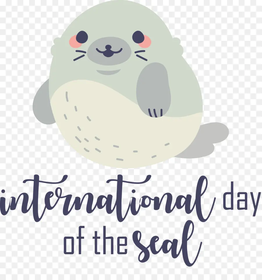 Día Internacional De La Foca，Foca Gris PNG