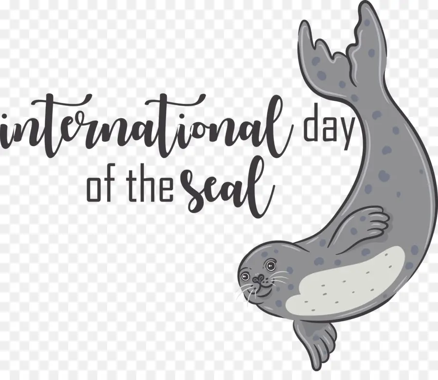 Día Internacional De La Foca，Foca Saltadora PNG