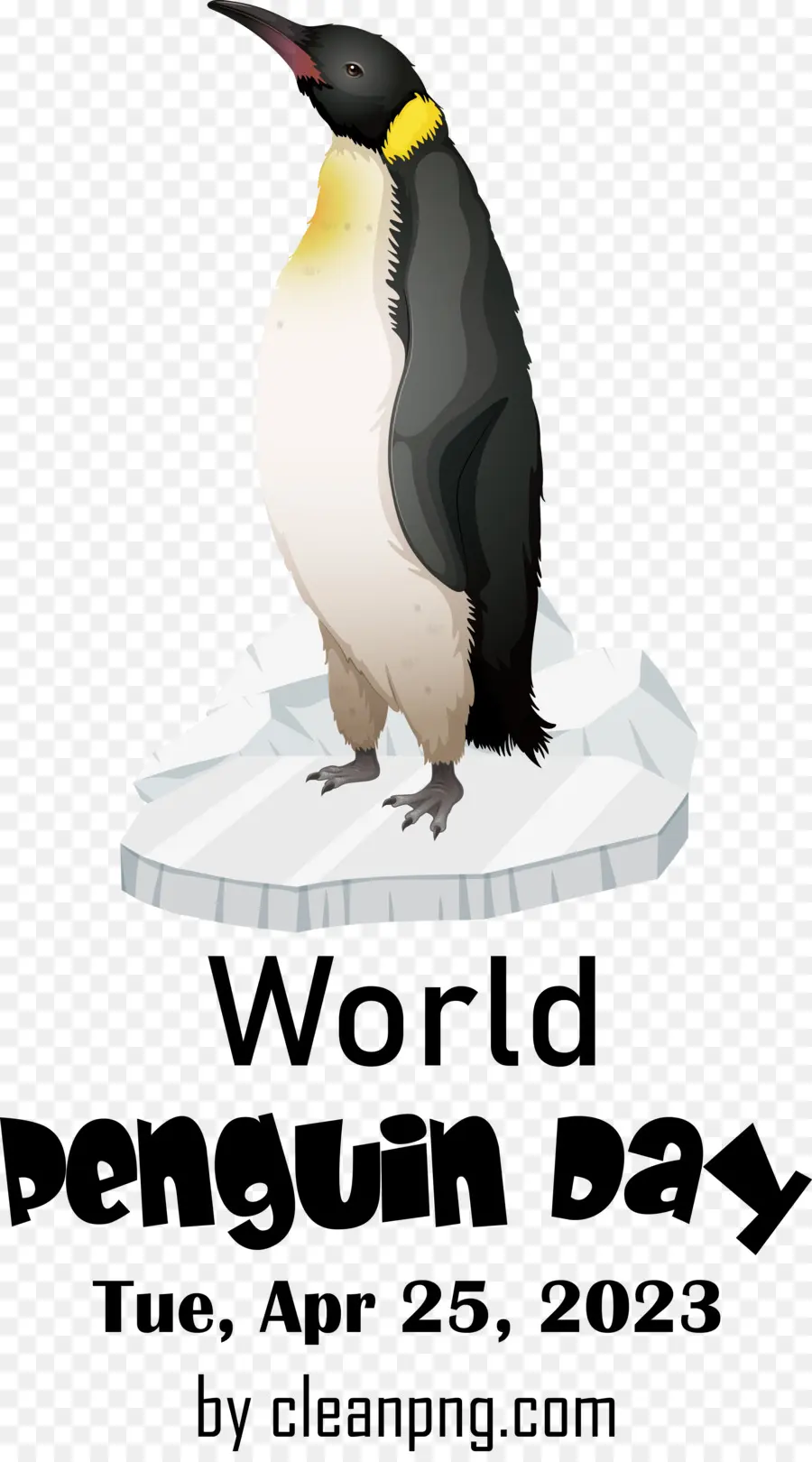 Día Mundial Del Pingüino，Día Del Pingüino PNG