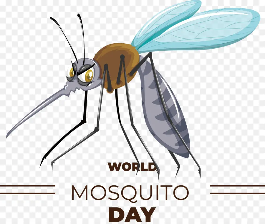 El Día Mundial Del Paludismo，Día De La Malaria PNG