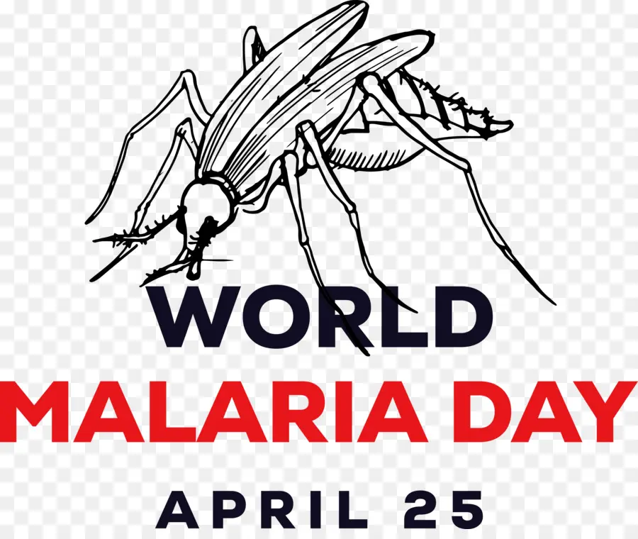 El Día Mundial Del Paludismo，Día De La Malaria PNG