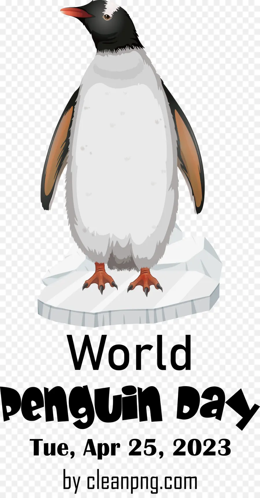 El Día Mundial Del Pingüino，Día De Pingüino PNG