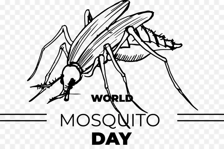 El Día Mundial Del Paludismo，Día De La Malaria PNG