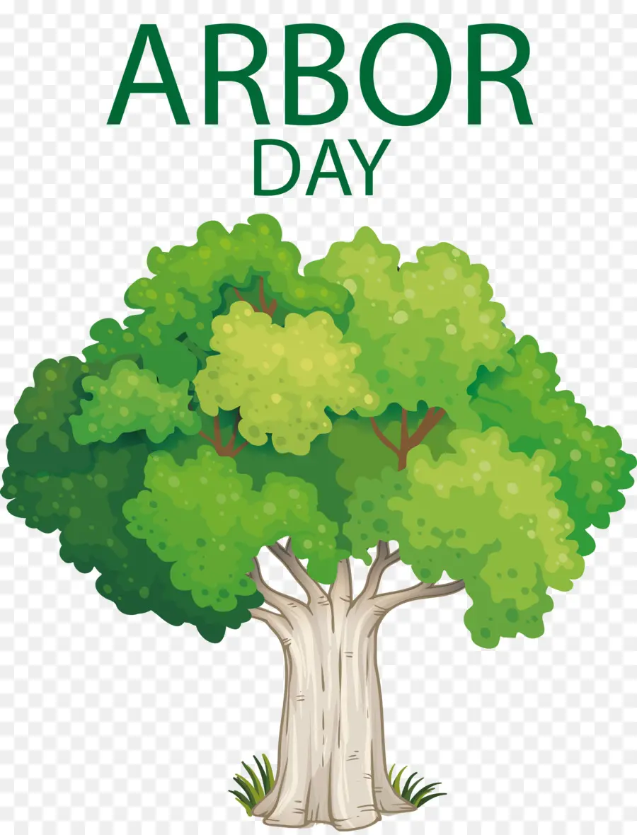 Dia Del Arbol，Cenador PNG