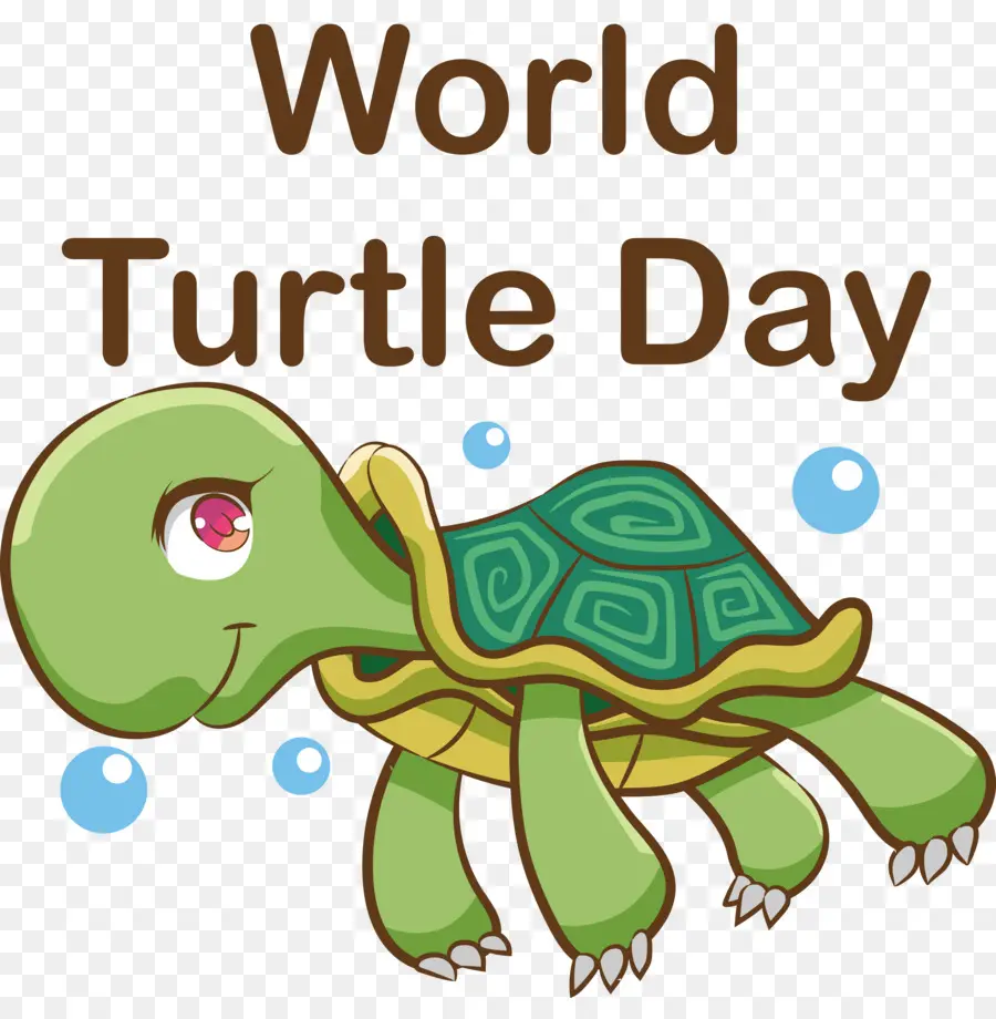 Día Mundial De La Tortuga，Tortuga PNG