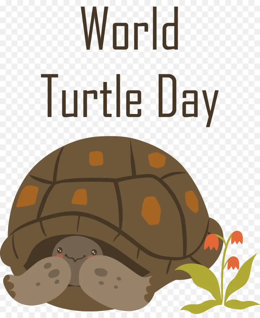 Día Mundial De La Tortuga Marina，Día De Tortuga PNG