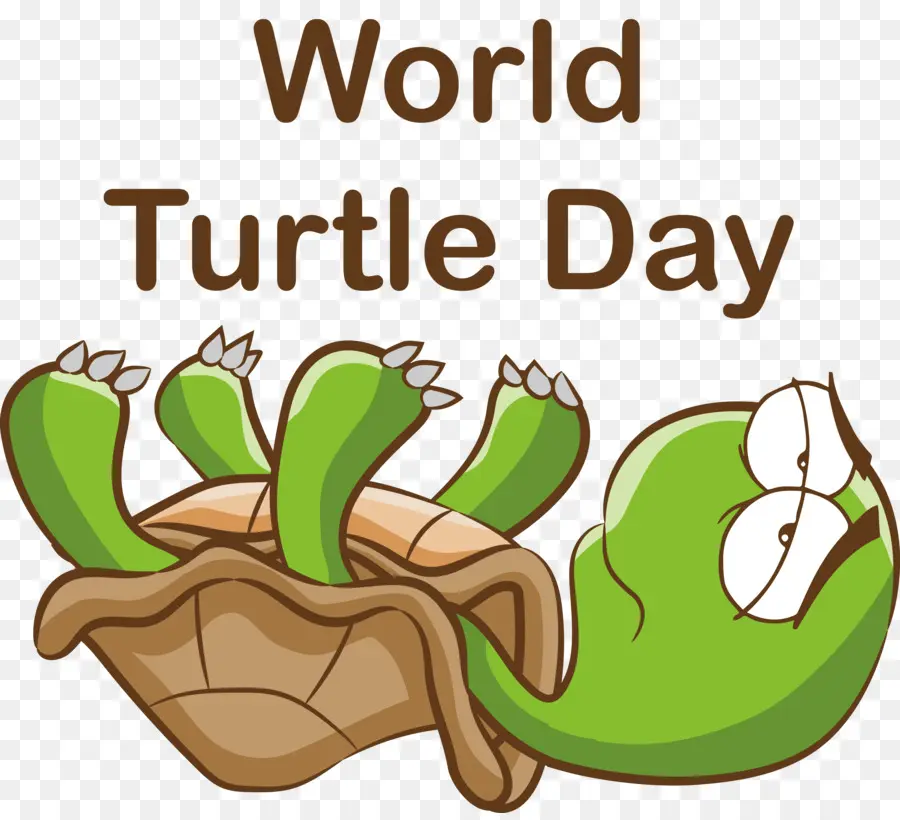 Día De Tortuga，Día Mundial De La Tortuga Marina PNG