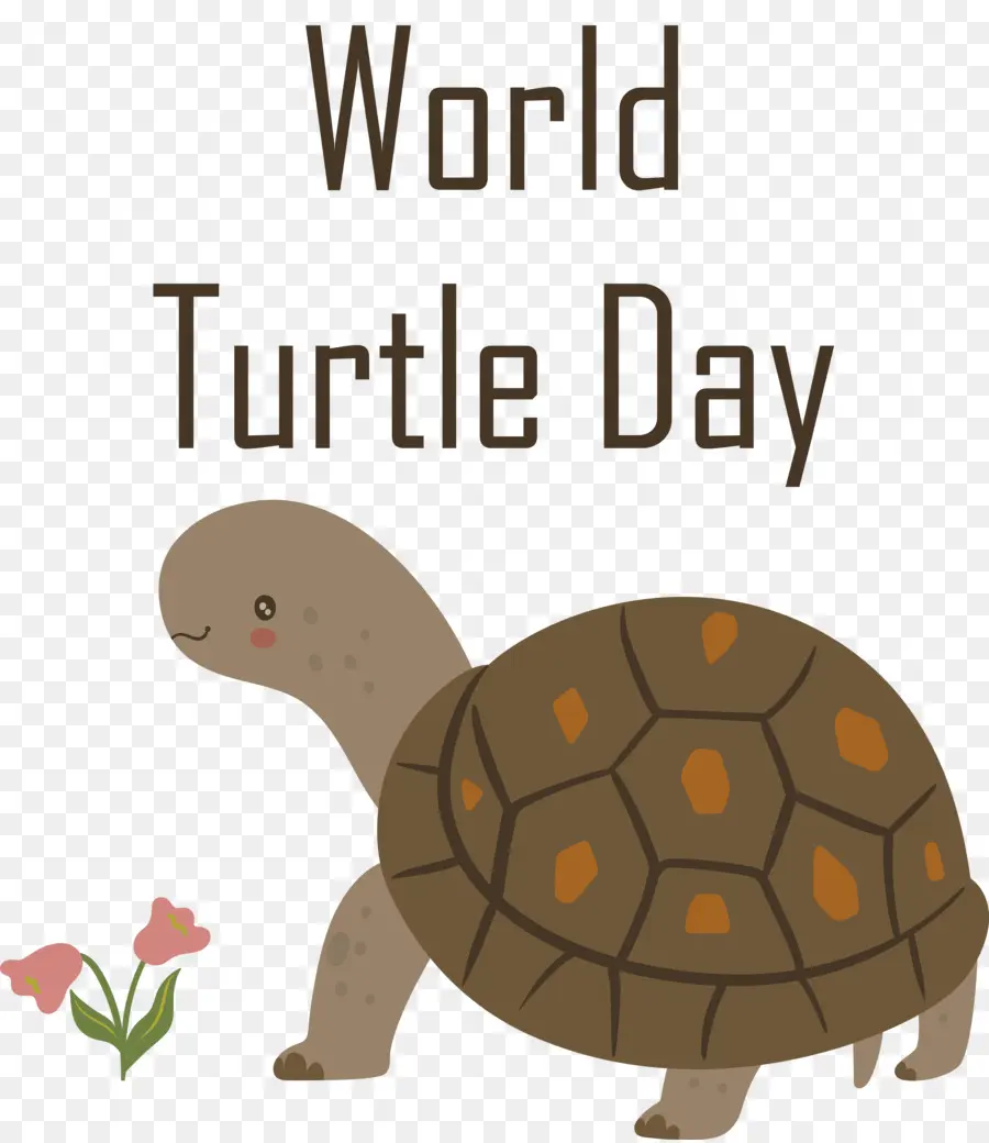 Día De Tortuga，Día Mundial De La Tortuga Marina PNG