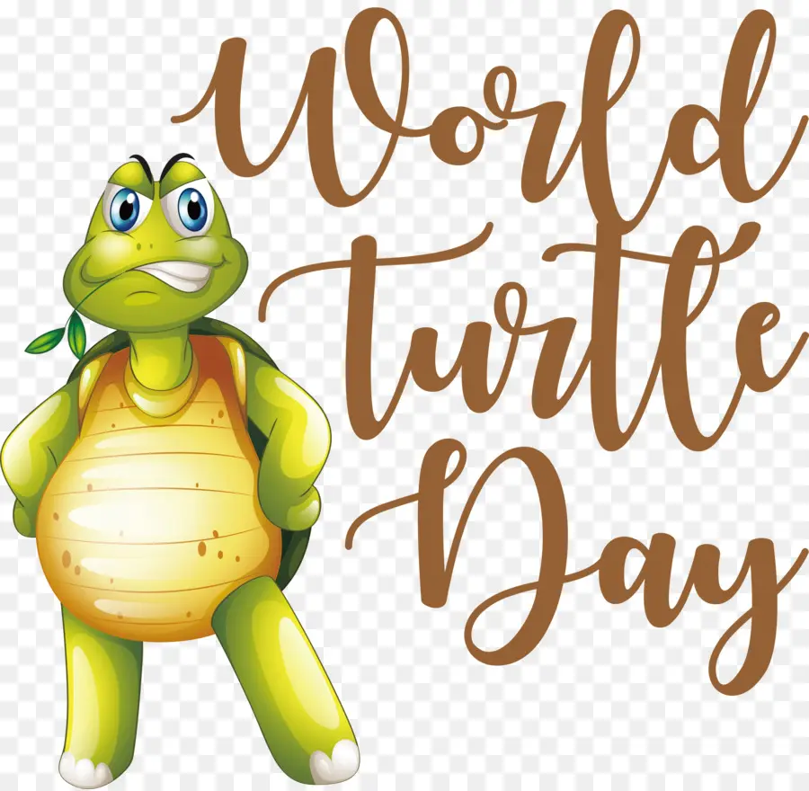 Día De Tortuga，Día Mundial De La Tortuga Marina PNG