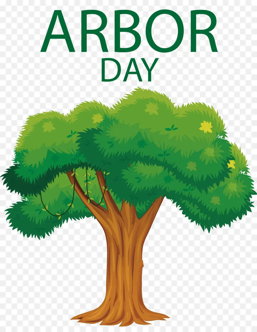 El Día Del árbol，Arbor PNG