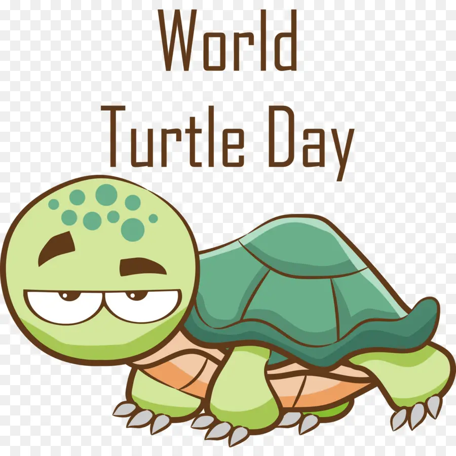 Día Mundial De La Tortuga Marina，Día De Tortuga PNG