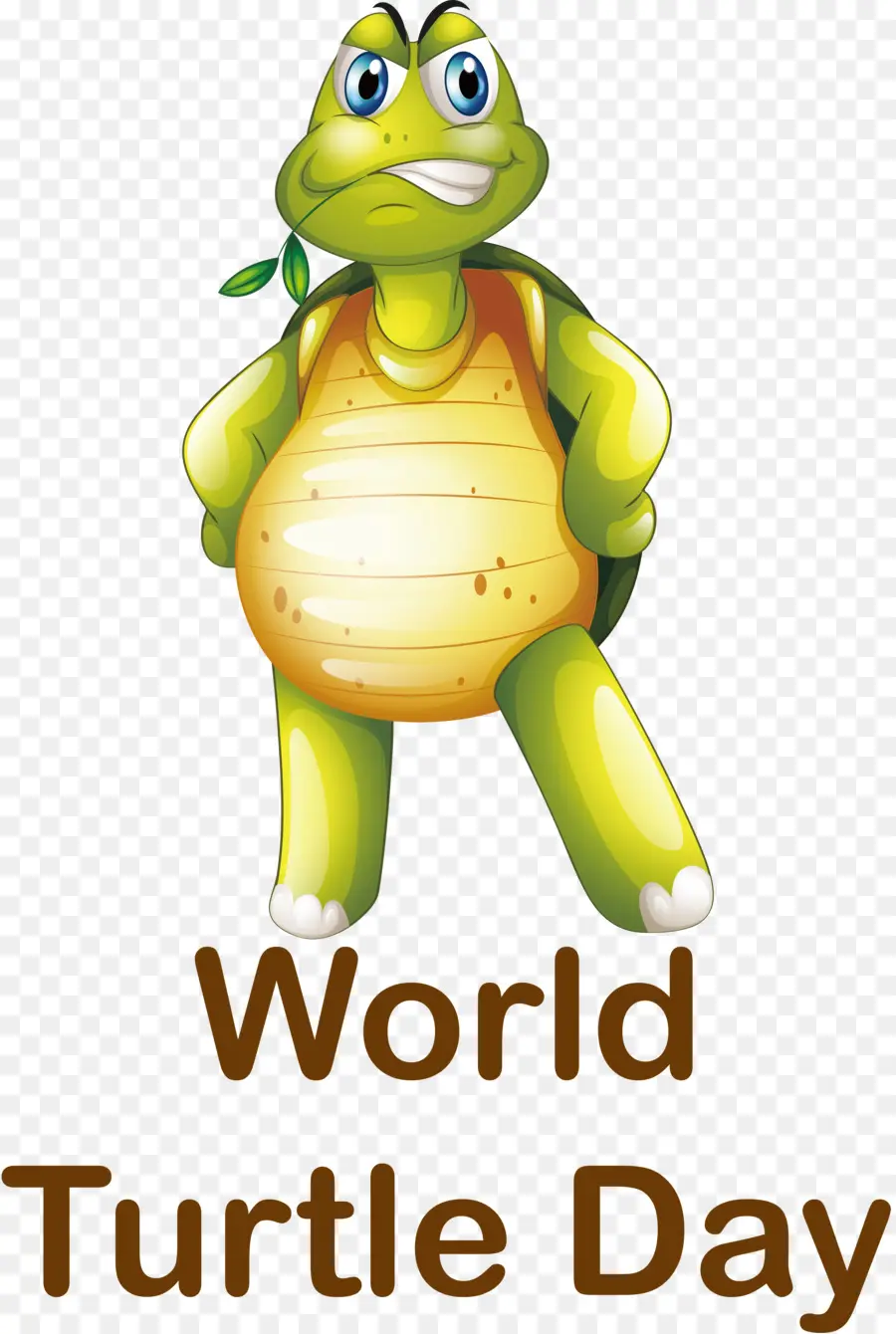 Día Mundial De La Tortuga，Dia De La Tortuga PNG