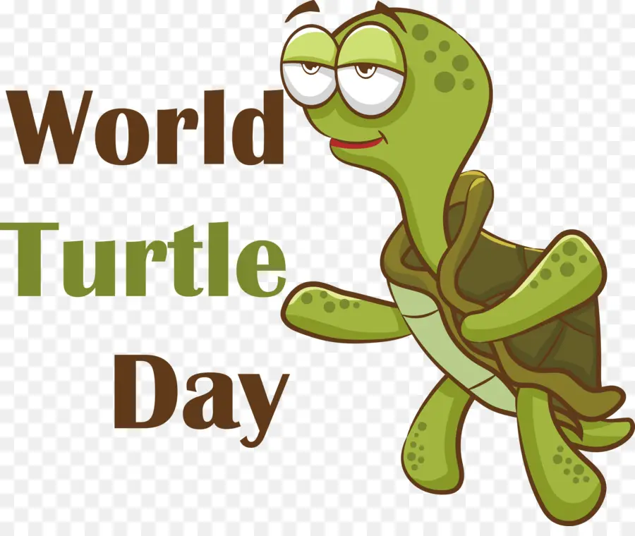 Día Mundial De La Tortuga，Dia De La Tortuga PNG