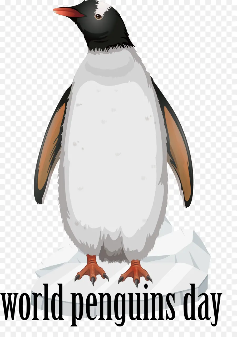 El Día Mundial Del Pingüino，Día De Pingüino PNG