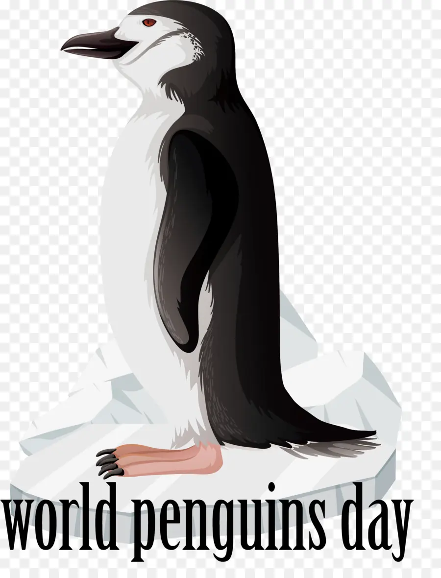 Día Mundial Del Pingüino，Pingüino PNG