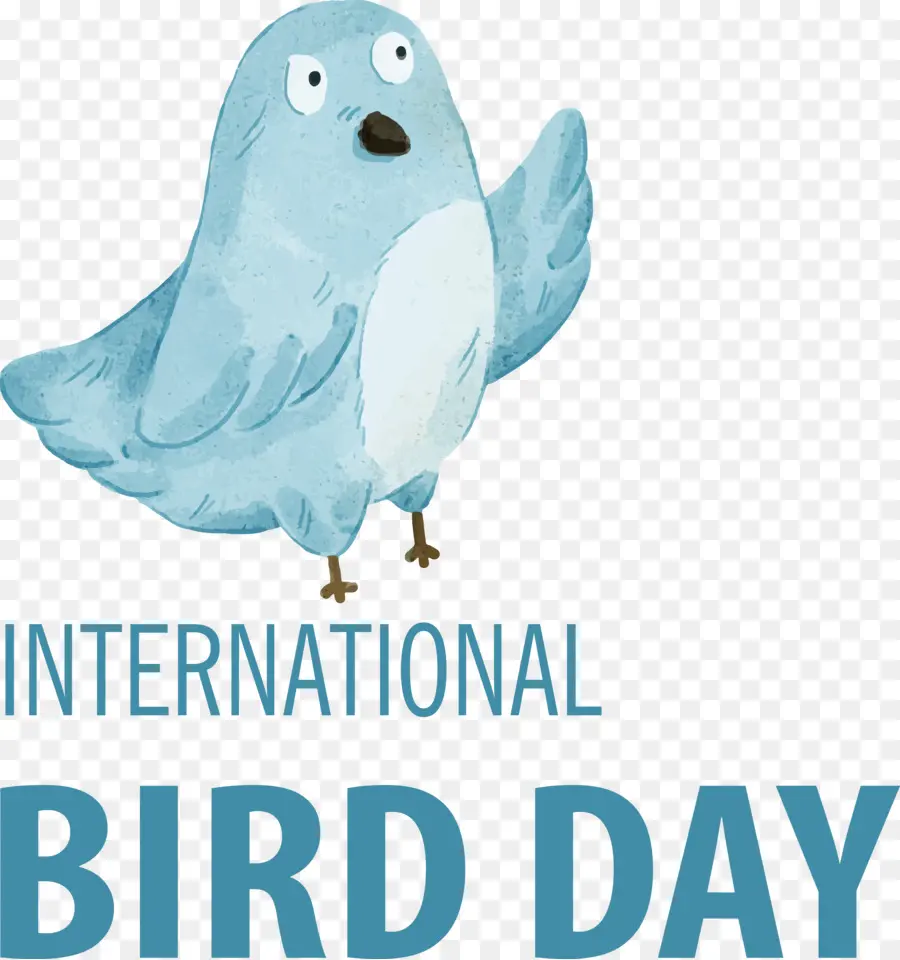 Día De Las Aves，Día Internacional De Las Aves PNG