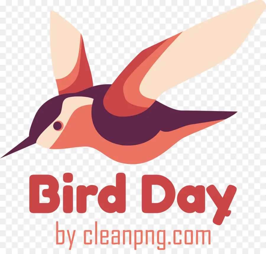 Día Internacional De Las Aves，Día De Las Aves PNG