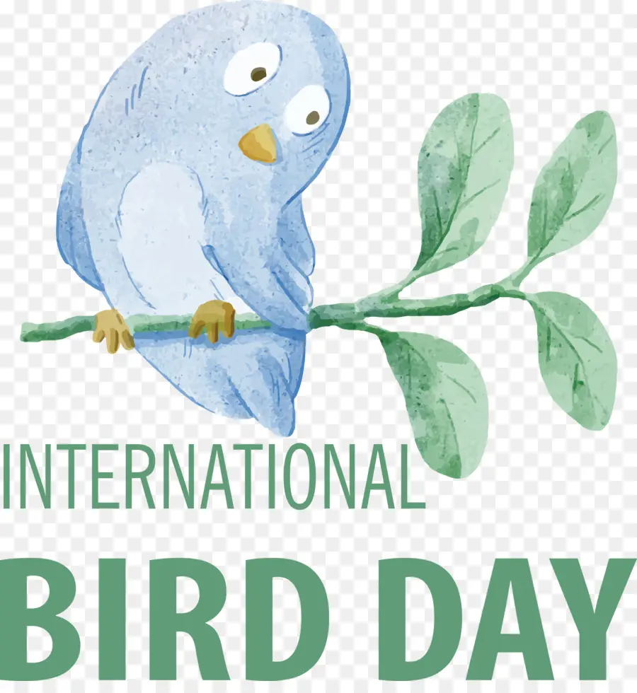 Día Internacional De Las Aves，Día De Las Aves PNG