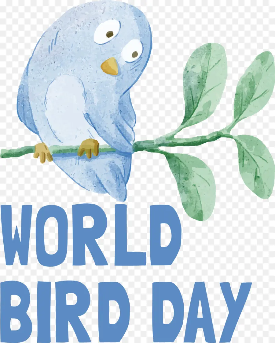 Día Internacional De Las Aves，Día De Las Aves PNG